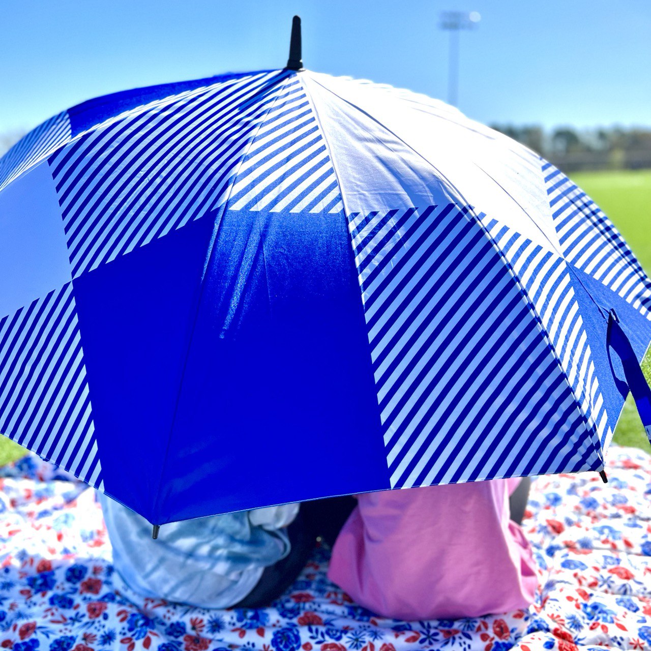 Blue Buffalo - Large Golf Umbrella