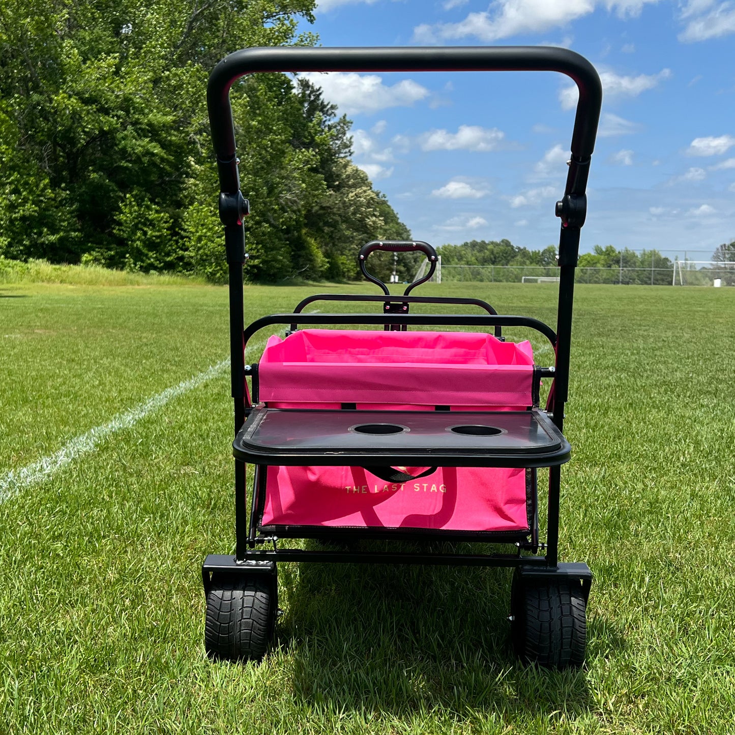 Hot Pink Stroller Wagon